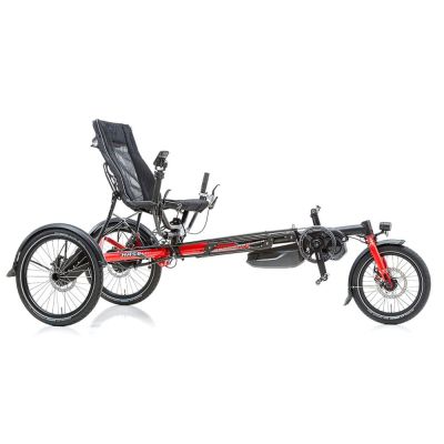 Lepus Steps Trike