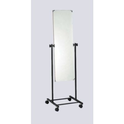 Mobile Posture Mirror
